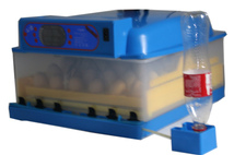 Полупрофессиональный инкубатор на 36 яиц с автоматической поддержкой влажности и температуры 